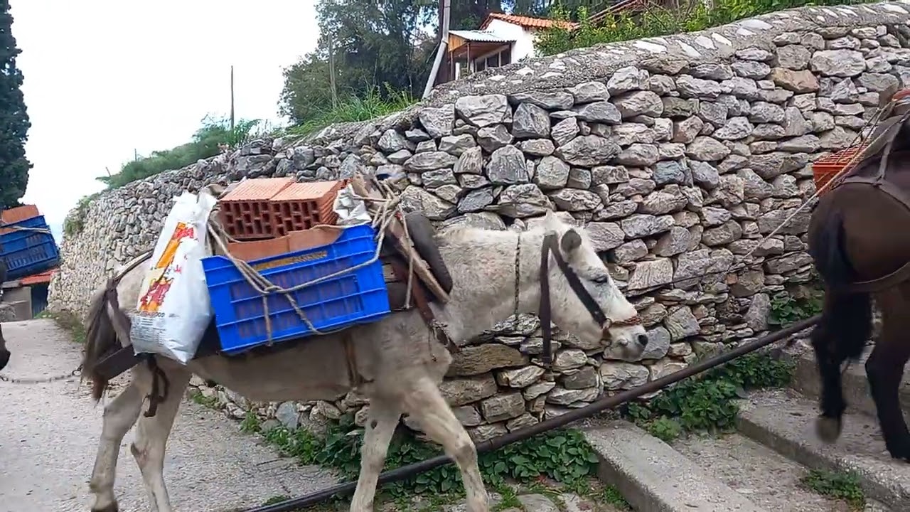 Άγιο όρος Αγογιατης μεταφορές 20-12-25
