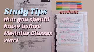 10 Study Tips That You Should Know Before Modular Classes Start | Sakura Kissu