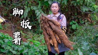 比腰都粗的食材，很多人把它的名字都叫錯了【腳板薯】Make Chinese food with amazing ingredients｜野小妹 wild girl