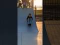 Wrong way 2 ride  girls sk8 skateboard skateboarding skatepark new skate reels