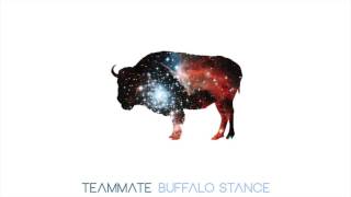 Video thumbnail of "TeamMate - Buffalo Stance (Neneh Cherry Cover)"