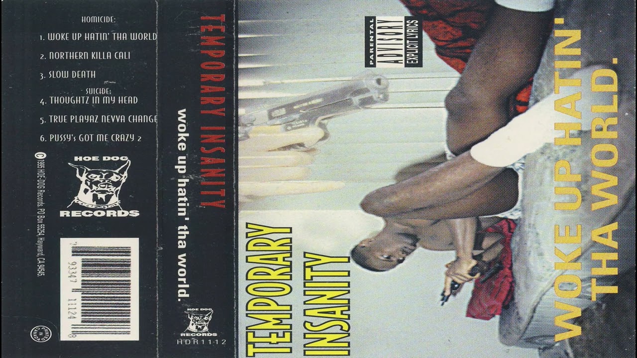 Temporary Insanity — Temporary Insanity - Woke Up Hatin' Tha World