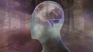 Ira Progoff Poema Arbol Semilla