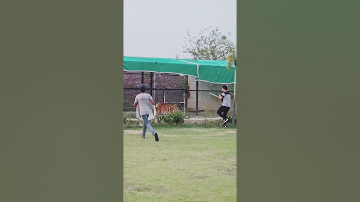 tiger 🐯 pinjara se Bahar Aya geya #vairal short #youtube short