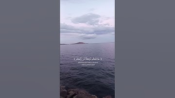 سورة يونس♡ عبد الرحمان مسعد ♡ (56-57)