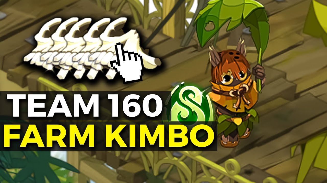 Le FARM KIMBO avec ma TEAM sur DOFUS (need kamas...)
