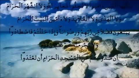 سورة المائدة برواية قالون قراء مختلفون