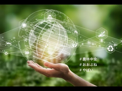 「おおぶね」はやばい？農林中金＜パートナーズ＞長期厳選投資の評判や口コミ、今後の見通し