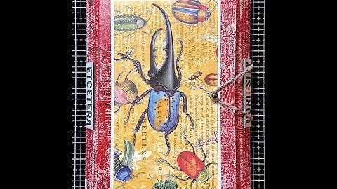 Graphic 45 Flutter Collection: Beetle Folio Album