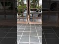 脱獄イッヌ
