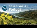 Douro Valley, Portugal: Tasting Port Wine - Rick Steves’ Europe Travel Guide - Travel Bite