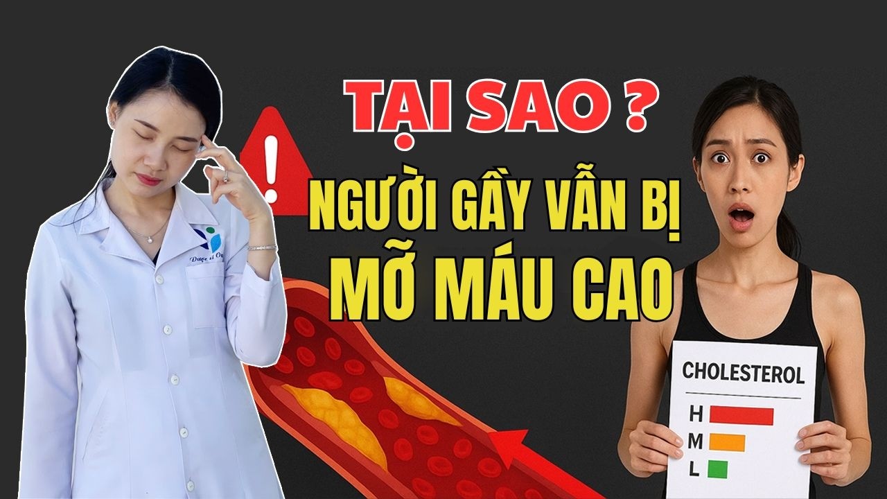 Mỡ Máu Cao - Sát Thủ Thầm Lặng Gây Đột Quỵ Ngay Cả Ở Người Gầy