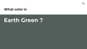 Earth Green color #545f5b hex color - Grey color - Warm color 545f5b