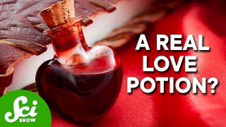 The Science Behind Sleep & Love Potions