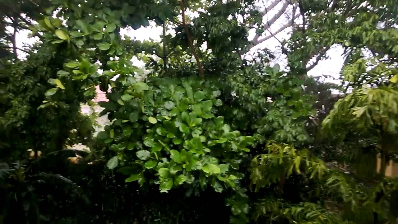 Negril Jamaica rainy day at Seastar Inn balcony YouTube