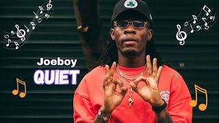 Joeboy - Quiet (Lyrics Video)  screenshot 1
