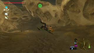 Link Wins An Olympic Medal