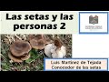 Seminario &quot;Las setas y las personas&quot;. Sesión 1