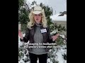 Jen Fulwiler | Texas Snow Storm