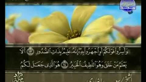 سورة الملك من الآية 13 الى الآية 30