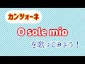 カンツォーネ O sole mio を歌おう オペラ歌手押川浩士
