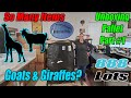 888 Lots Unboxing Part 1 - Goats & Giraffes - There are so Many items in this Pallet! - Reselling