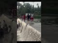 C S R CHECK DAM #chalakkudy#