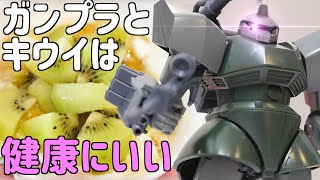 どっちが好き？ゲルググ/ゲルググキャノンを超絶マイペースに紹介HGUC:MS-14ゲルググ/C型【フルプラ工場】