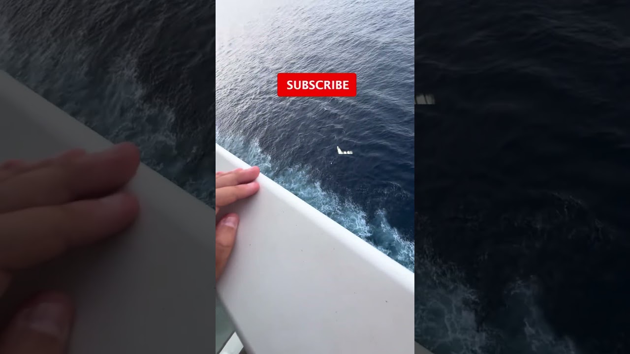 😂Anyone going to miss him? 😂