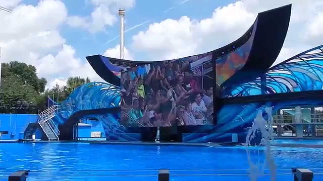 "One Ocean" Shamu Show at Orlando Florida - 2015 - YouTube