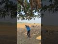 Practice    perfect   cricket trending viral reels foryou cricketlover funny