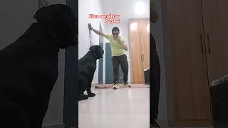 dog training#🐕#video#🐕#share#viral#subscribe#contact#7988150626