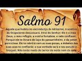 Sob as asas do seu amor