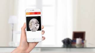 MID House Of Diamonds NEW mobile App screenshot 2