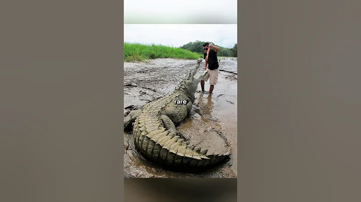 Rare Photos That Will Leave You Speechless [Part 56]