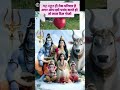#mere soye bhaag jga do shiv damru wale.🌿🙏♥️