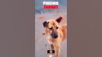 "Unmasking Biker Fear: Why Do So Many Fear Passing Bikes? 🚴‍♂️💥"#shorts #youtubeshorts #youtube