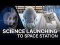 Science Launching on SpaceX&#39;s 29th Cargo Resupply Mission to the Space Station