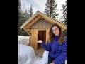 TINY shed build from scratch | Sawmill shed | Junk wood project