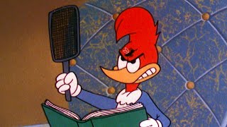 Woody Needs An Exterminator | 2.5 Hours of Classic Episodes of Woody Woodpecker