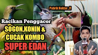 pakan racikan nektar DEXTRO 87 untuk burung sogon,kolibri,cucak kombo kecial kombok Gacor Dorr ❗❗