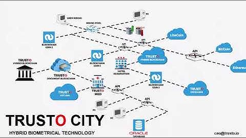 Trusto City of Hybrid Blockchain