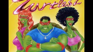 거북이(Turtles) -  Come On