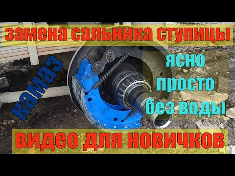 Видео на YouTube