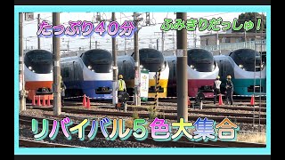 【電車】人気【特急ひたちリバイバルカラー５色特集！】常磐線に水郡線に赤電に501系たっぷり40分！踏切　train video railway crossing railrord 撮影会　ときわ