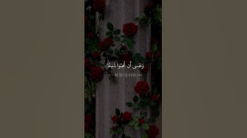 ارح سمعك 🎧♥️ #قران_كريم #تلاوة_خاشعة #المصحف #اكسبلور #quran #تلاوه #قرآن