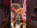 जिंदगी में भोले बाबा बहुत दुख हैं #mahadev