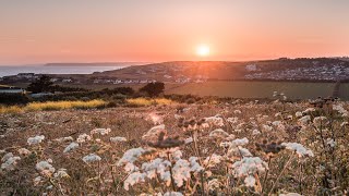 THE MOST BEAUTIFUL SUNSET IN DEVON! A summer walk in our wild field. Rewilding back to nature.