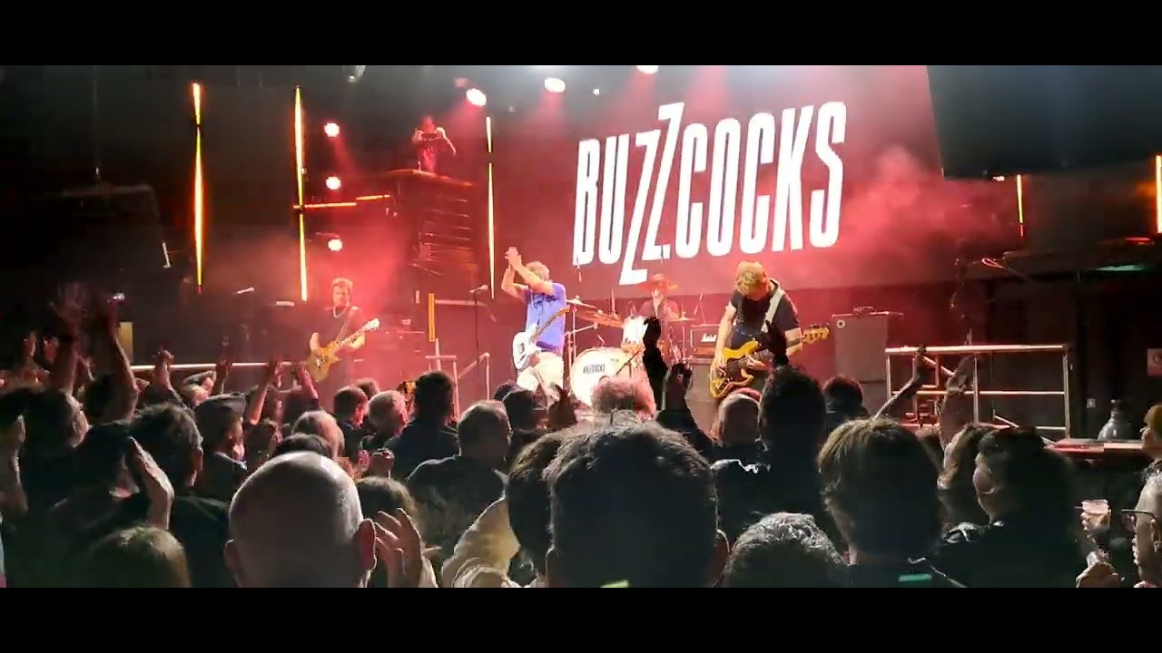 The Buzzcocks,  Live at the Academy Dublin  ,Punk in Ireland