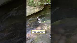 Reason Why I Dont Want You To Invite Me Camping